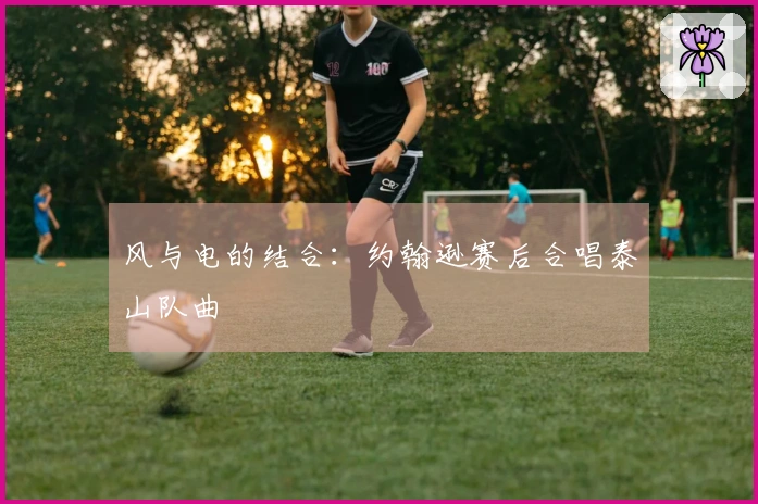 风与电的结合：约翰逊赛后合唱泰山队曲