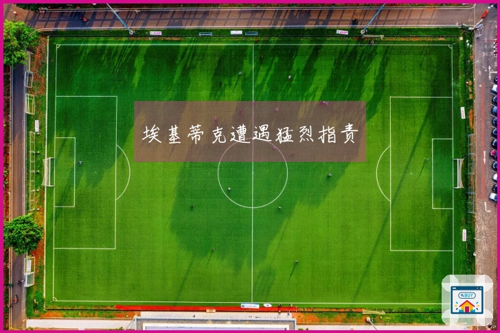 埃基蒂克遭遇猛烈指责
